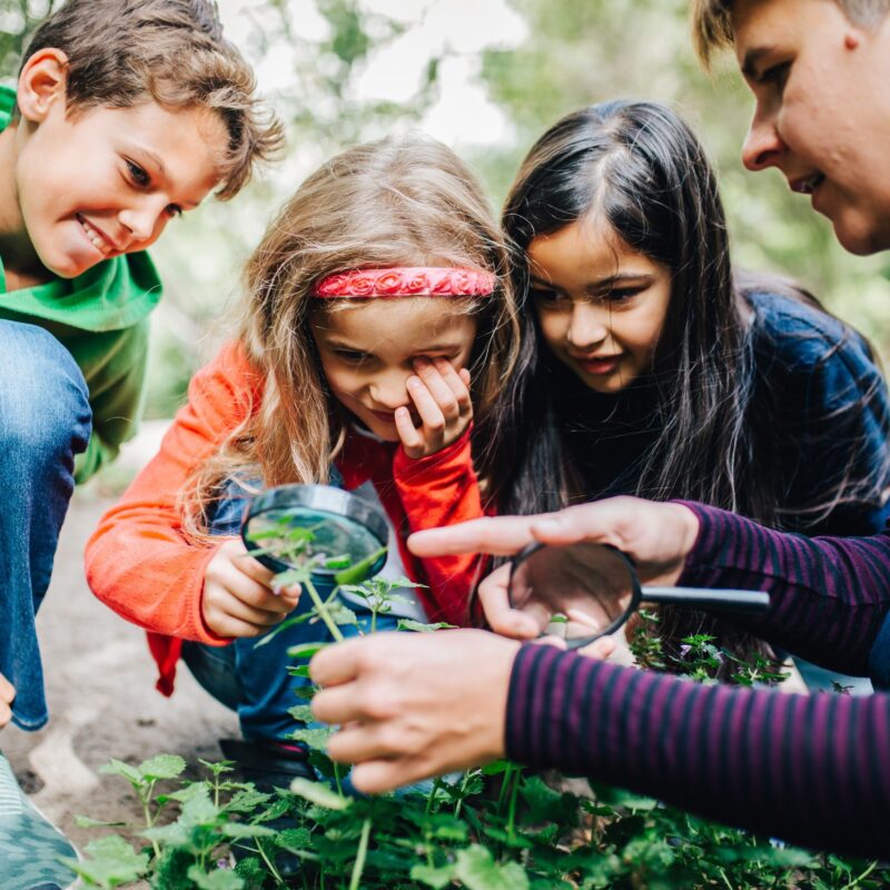 Kinder beim Forschen